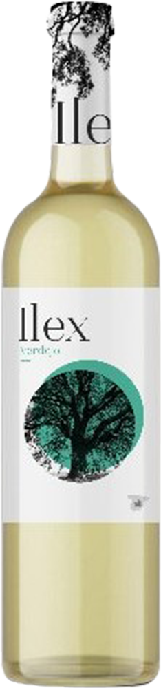 2025 Ilex Blanco Castilla VT