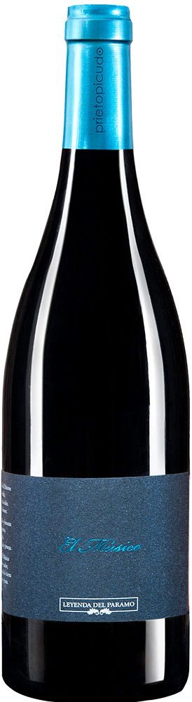 2015 El Músico Castilla y León VT