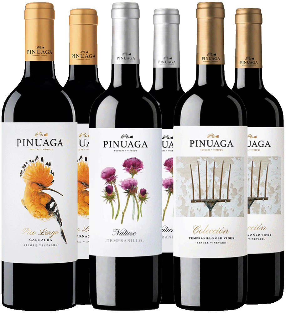 Pack degustación tintos de Pinuaga Castilla VT BIO Pack degustación tintos de Pinuaga Castilla VT BIO