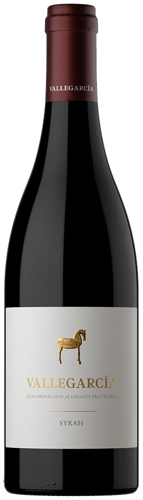 2022 Syrah Vallegarcía VP