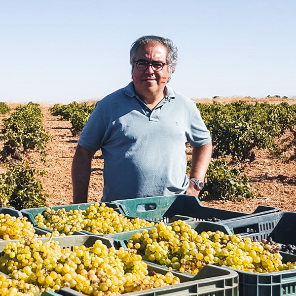 Bodegas García de Lara