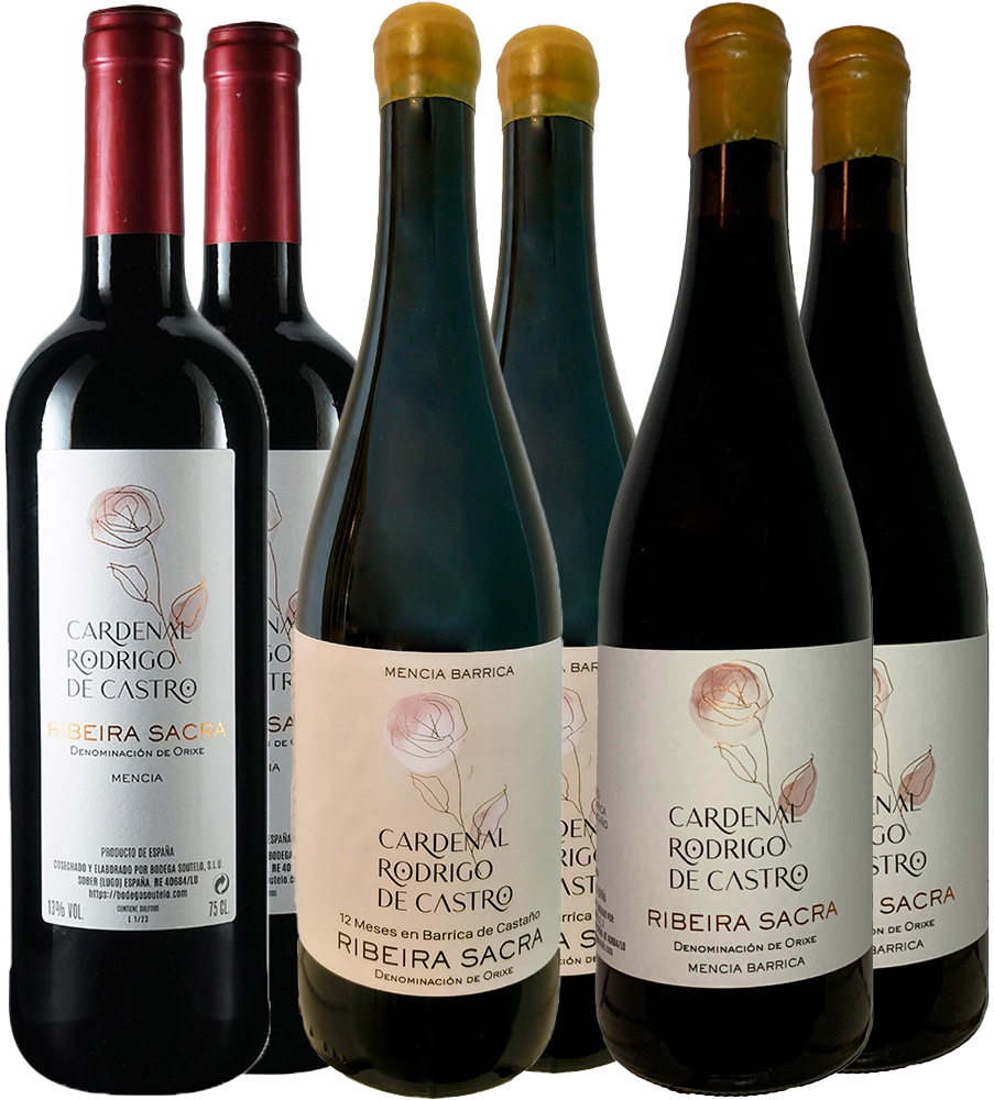 Pack degustación Cardenal Rodrigo De Castro Ribeira Sacra DO Pack degustación Cardenal Rodrigo De Castro Ribeira Sacra DO
