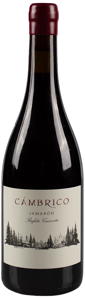 2019 Cámbrico Jamarón Sierra de Salamanca DOP