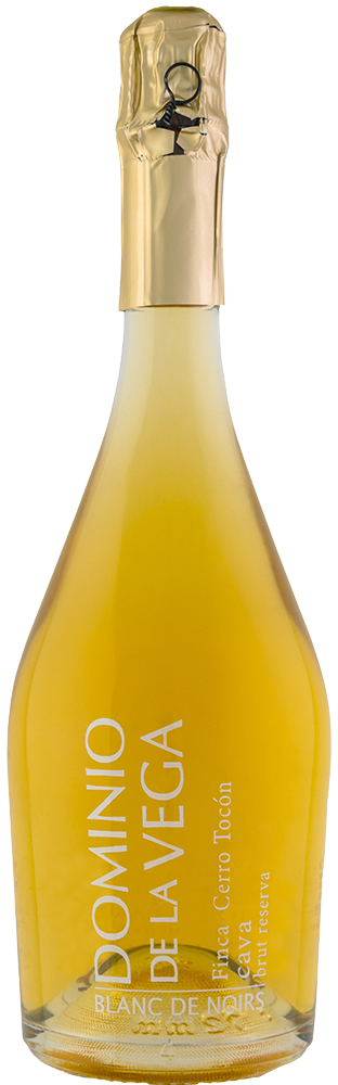 2017 Dominio de la Vega Cerro Tocón Cava DO 2017 Dominio de la Vega Cerro Tocón Cava DO