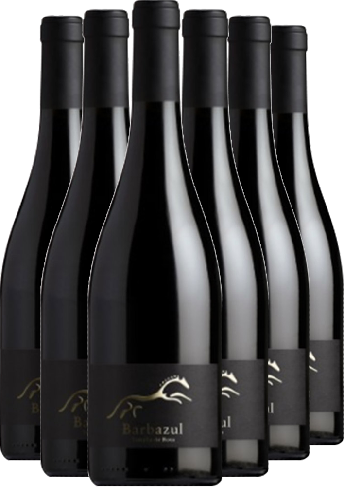 Pack descuento Barbazul Tintilla de Rota Cádiz VT Pack descuento Barbazul Tintilla de Rota Cádiz VT