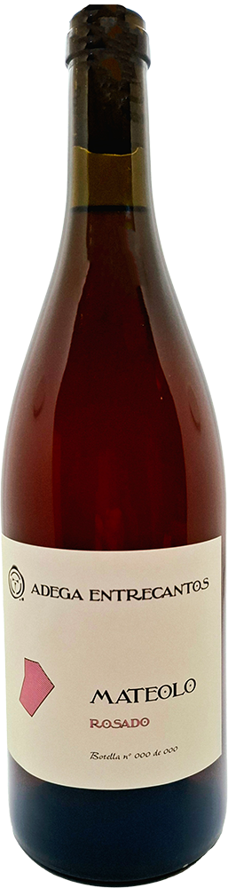 2024 Mateolo Rosado