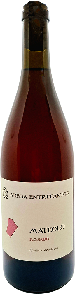 2024 Mateolo Rosado 2024 Mateolo Rosado
