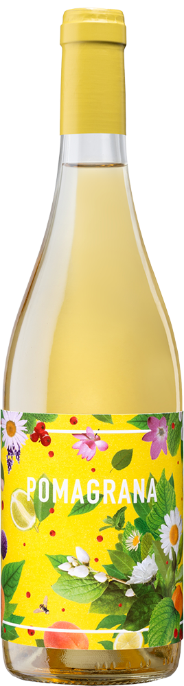2024 Pomagrana Blanco 2024 Pomagrana Blanco
