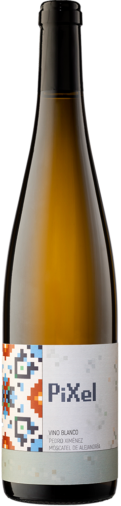 2023 PiXel Blanco 2023 PiXel Blanco