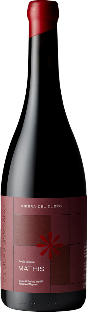 2014 Mathis Ribera del Duero DO