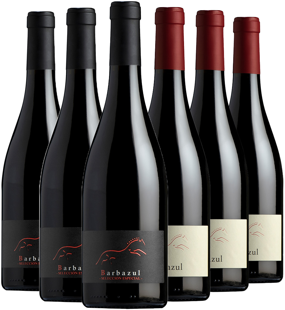 Pack degustación Huerta de Albalá vino tinto Cádiz VT
