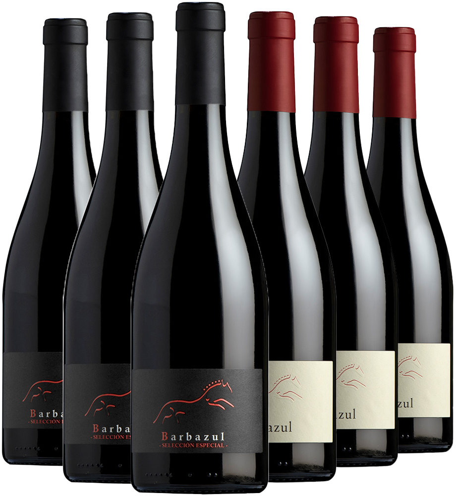 Pack degustación Huerta de Albalá vino tinto Cádiz VT Pack degustación Huerta de Albalá vino tinto Cádiz VT