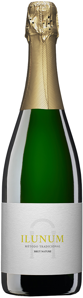 2022 Ilunum Espumoso Castilla VT