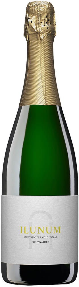 2022 Ilunum Espumoso Castilla VT 2022 Ilunum Espumoso Castilla VT