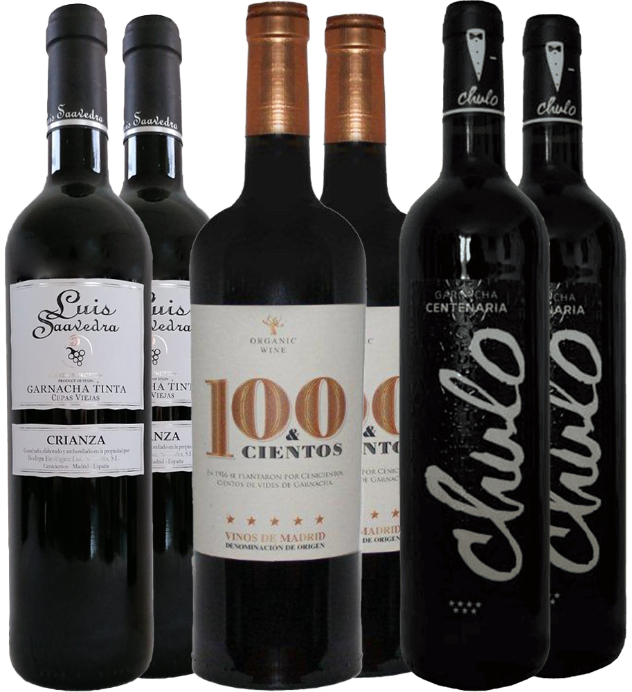 Pack descubrimiento Luis Saavedra Madrid DO