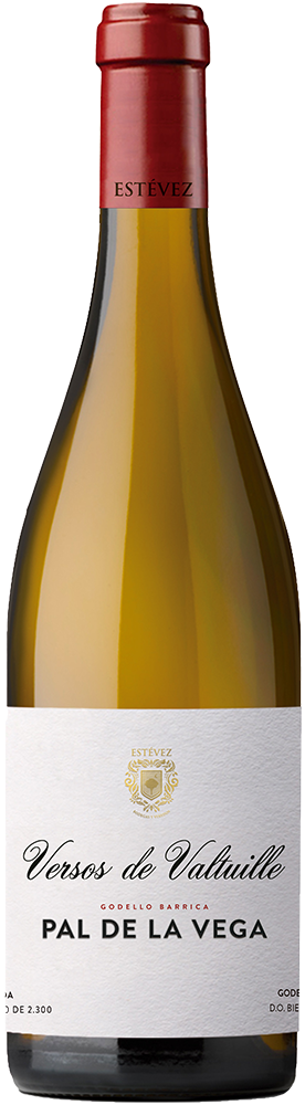 2023 Versos de Valtuille Paraje Pal de la Vega Bierzo DO