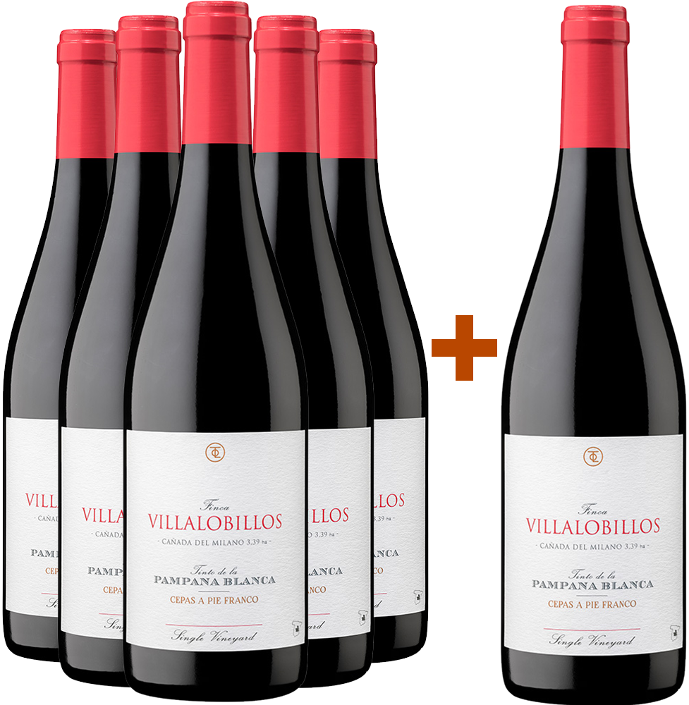 Pack descuento 5+1 Pampana Blanca Castilla VT Pack descuento 5+1 Pampana Blanca Castilla VT