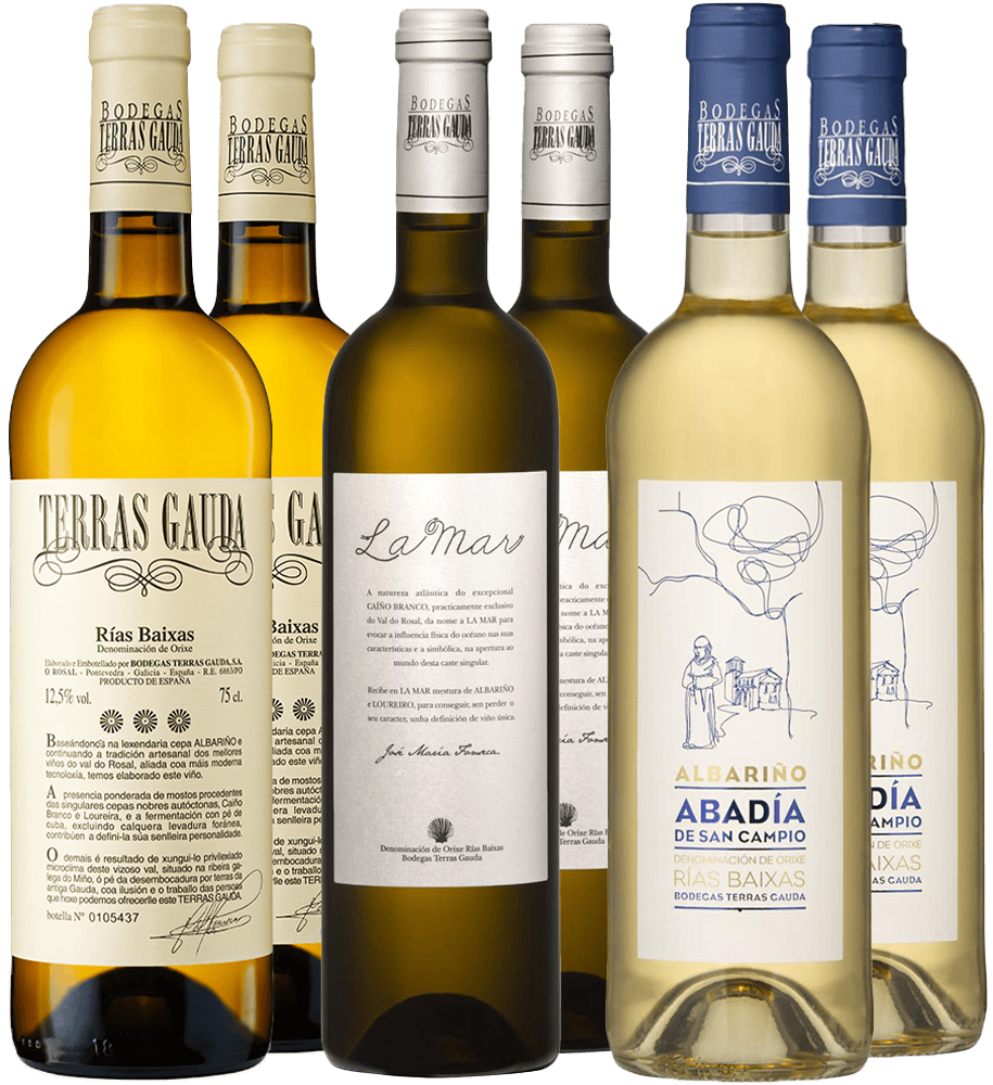 Pack degustación + cata online Terras Gauda (DO Rías Baixas)