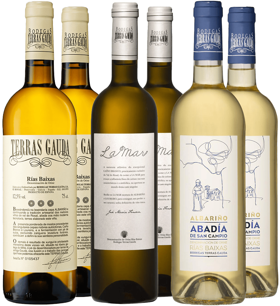 Pack degustación + cata online Terras Gauda (DO Rías Baixas) Pack degustación + cata online Terras Gauda (DO Rías Baixas)
