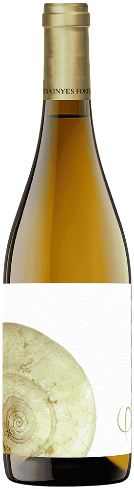 2023 Bellesa Perfecta White DOCa Priorat 2023 Bellesa Perfecta White DOCa Priorat