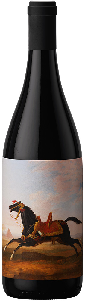 2020 Garnacha Tintorera DO Almansa