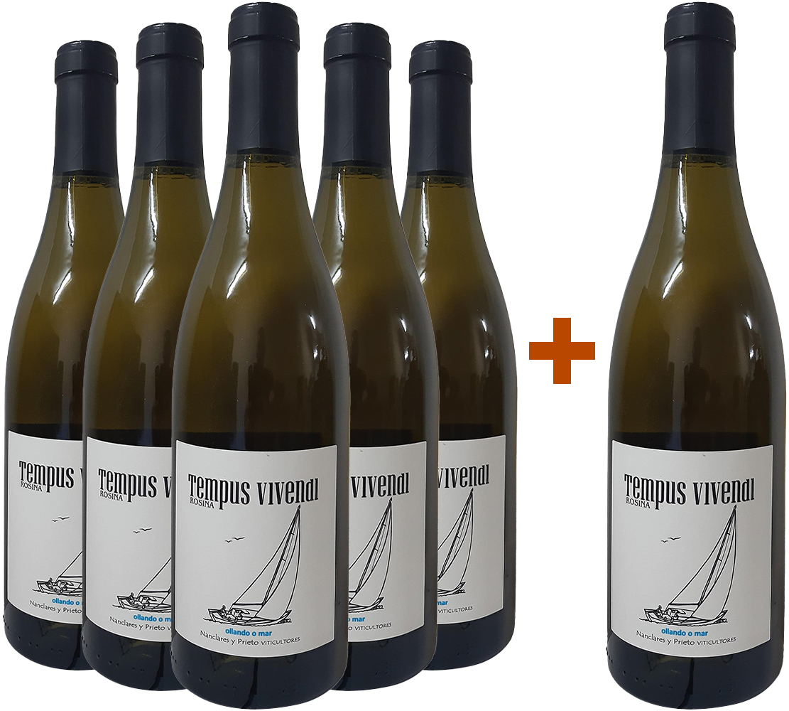 Pack Descuento 5+1 Nanclares Tempus Vivendi Rías Baixas DO