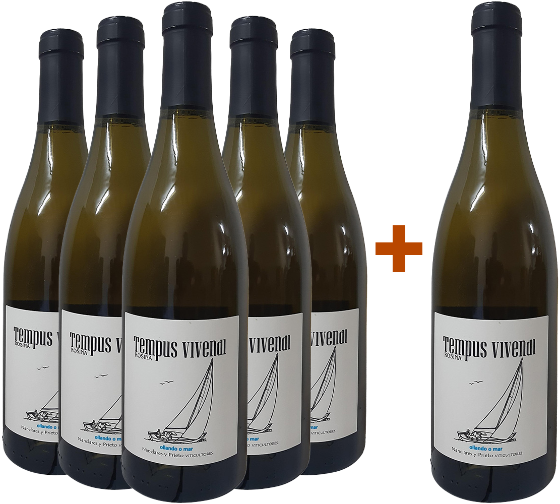Pack Descuento 5+1 Nanclares Tempus Vivendi Rías Baixas DO Pack Descuento 5+1 Nanclares Tempus Vivendi Rías Baixas DO