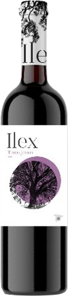 2025 Ilex Tinto Castilla VT
