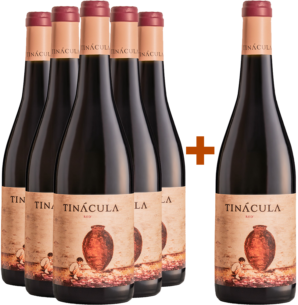 Pack descuento 5+1 Tinácula Red DOP Ribera del Júcar BIO Pack descuento 5+1 Tinácula Red DOP Ribera del Júcar BIO