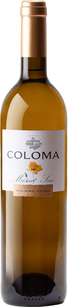 2024 Coloma Muscat Extremadura VT 2024 Coloma Muscat Extremadura VT