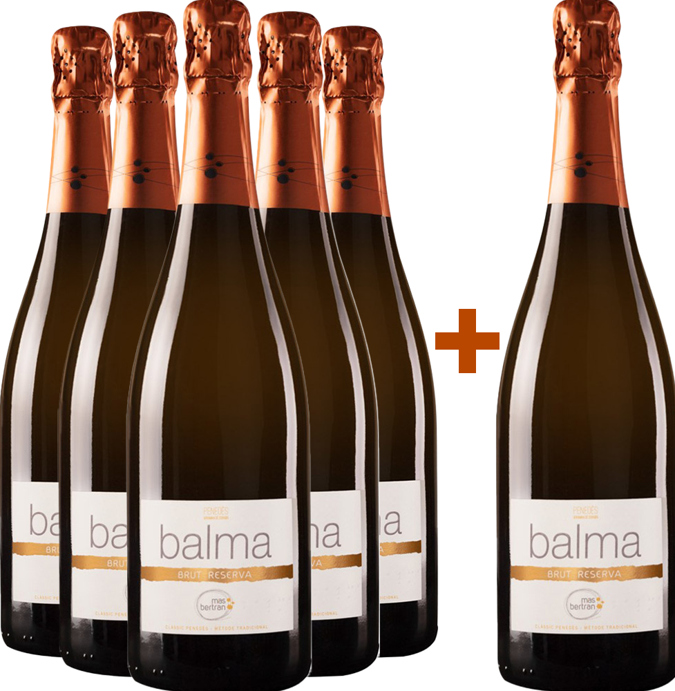 Pack descuento 5+1 Mas Bertran Brut Penedés DO BIO