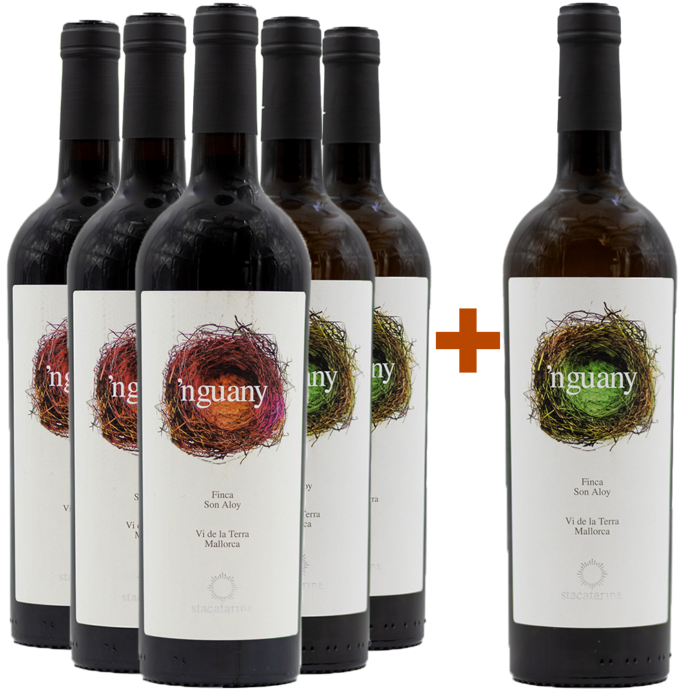 Pack descuento 5+1 Nguany Mallorca VT Pack descuento 5+1 Nguany Mallorca VT