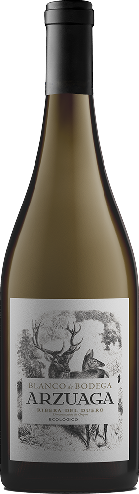 2025 Arzuga Blanco de Bodega Albillo BIO