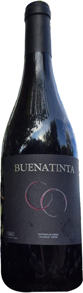 2022 Buenatinta Toro DO