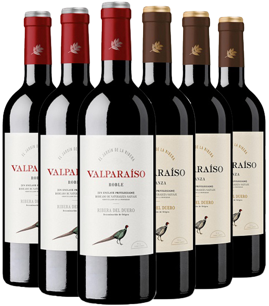 Pack descuento Valparaiso Ribera del Duero DO