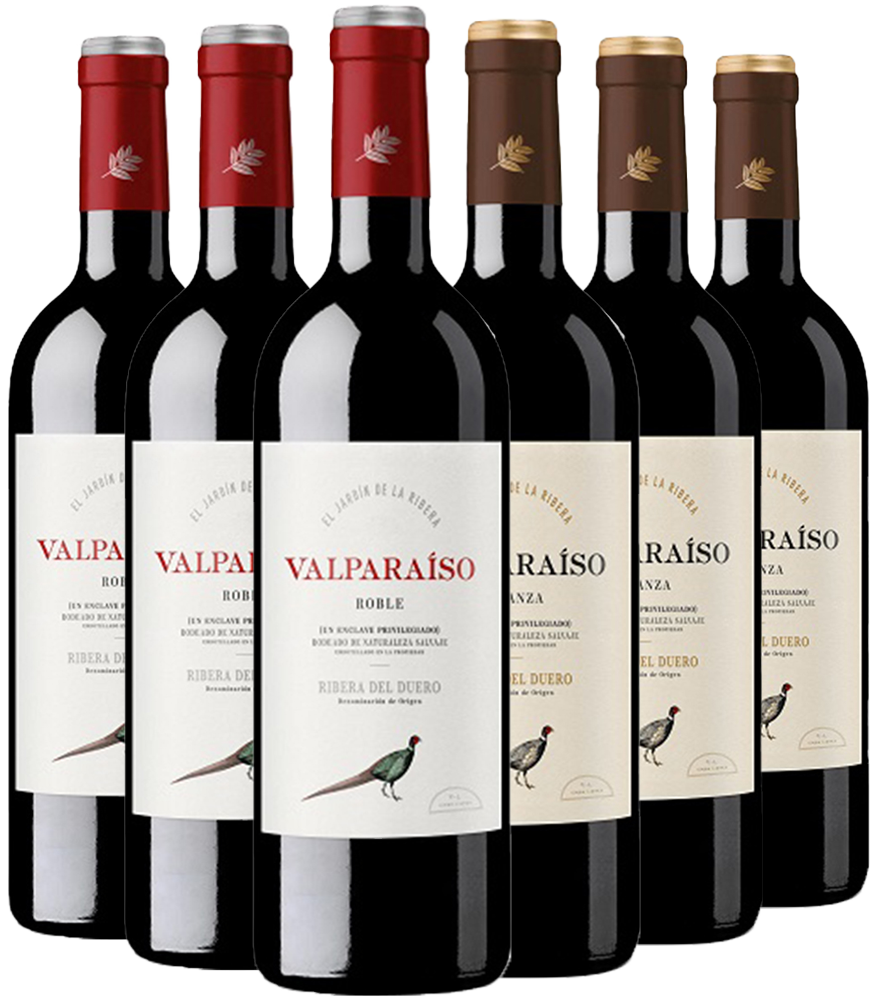 Pack descuento Valparaiso Ribera del Duero DO Pack descuento Valparaiso Ribera del Duero DO