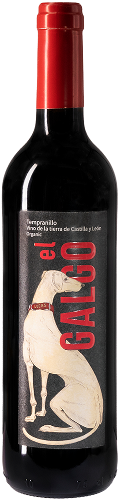 2022 El Galgo Castilla y León VT