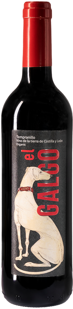2022 El Galgo Castilla y León VT 2022 El Galgo Castilla y León VT