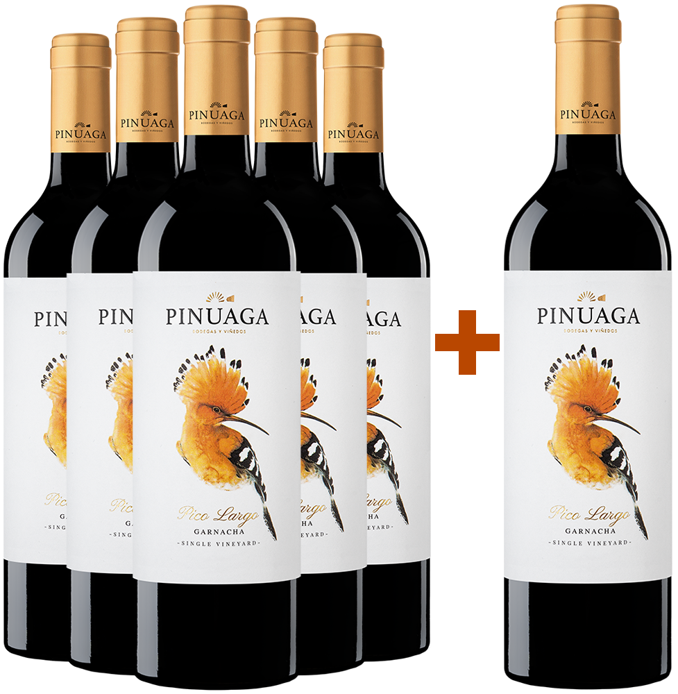 Pack descuento 5+1 Pinuaga Pico Largo Castilla VT BIO