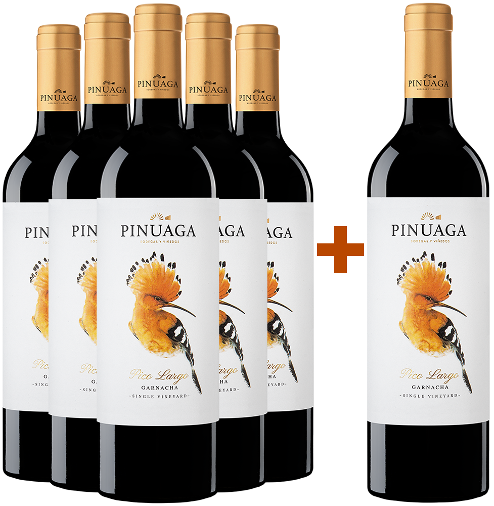 Pack descuento 5+1 Pinuaga Pico Largo Castilla VT BIO Pack descuento 5+1 Pinuaga Pico Largo Castilla VT BIO