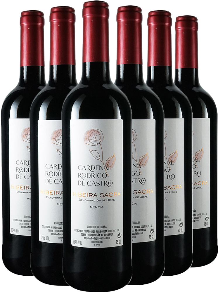 Pack descuento Cardenal Rodrigo De Castro Tinto Ribeira Sacra DO Pack descuento Cardenal Rodrigo De Castro Tinto Ribeira Sacra DO