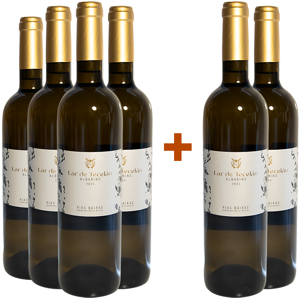 Pack descuento 4+2 Lar de Tecelán Rias Baixas DO Pack descuento 4+2 Lar de Tecelán Rias Baixas DO