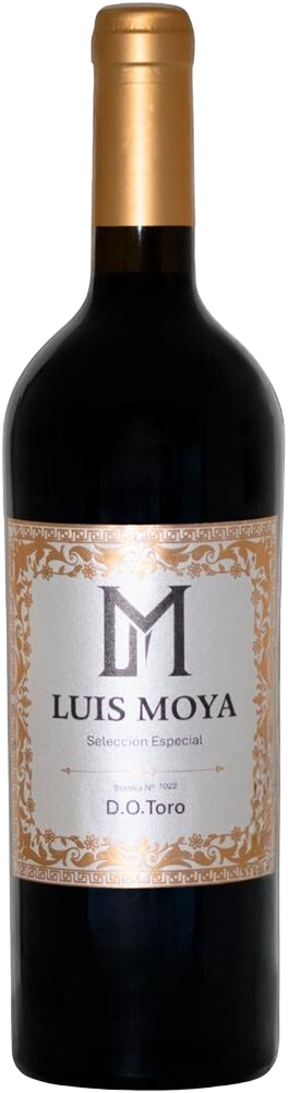 2022 Luis Moya Toro DO 2022 Luis Moya Toro DO