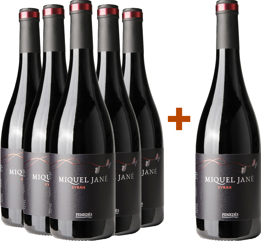Pack descuento 5+1 Syrah Penedès DO BIO Pack descuento 5+1 Syrah Penedès DO BIO