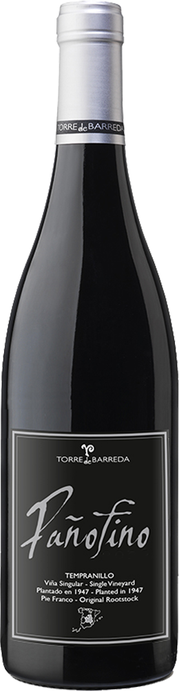 2022 Pañofino Viña Singular Castilla VT