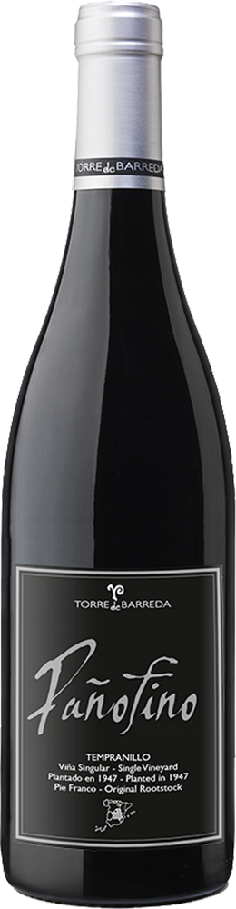 2022 Pañofino Viña Singular Castilla VT 2022 Pañofino Viña Singular Castilla VT
