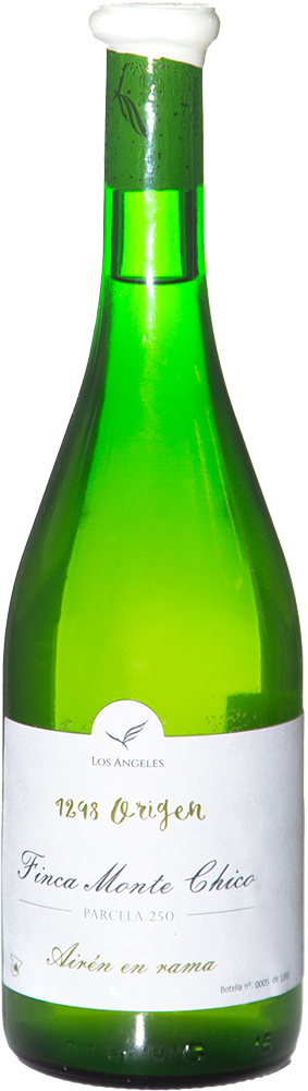 2023 1298 Origen Airén en Rama Finca Monte Chico Castilla VT 2023 1298 Origen Airén en Rama Finca Monte Chico Castilla VT