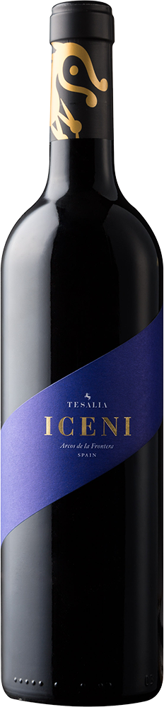 2022 Iceni Cádiz VT