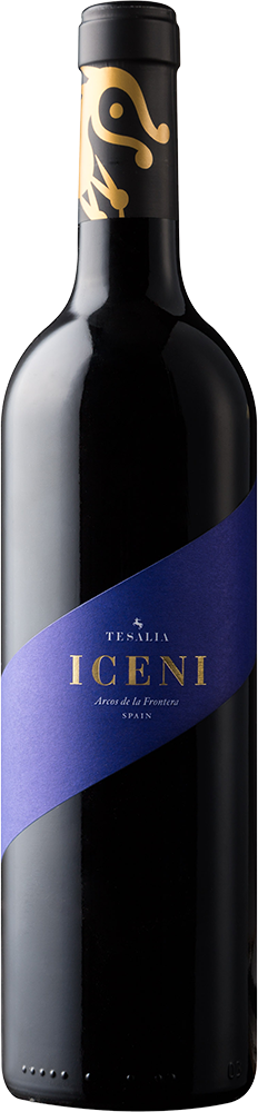 2022 Iceni Cádiz VT 2022 Iceni Cádiz VT