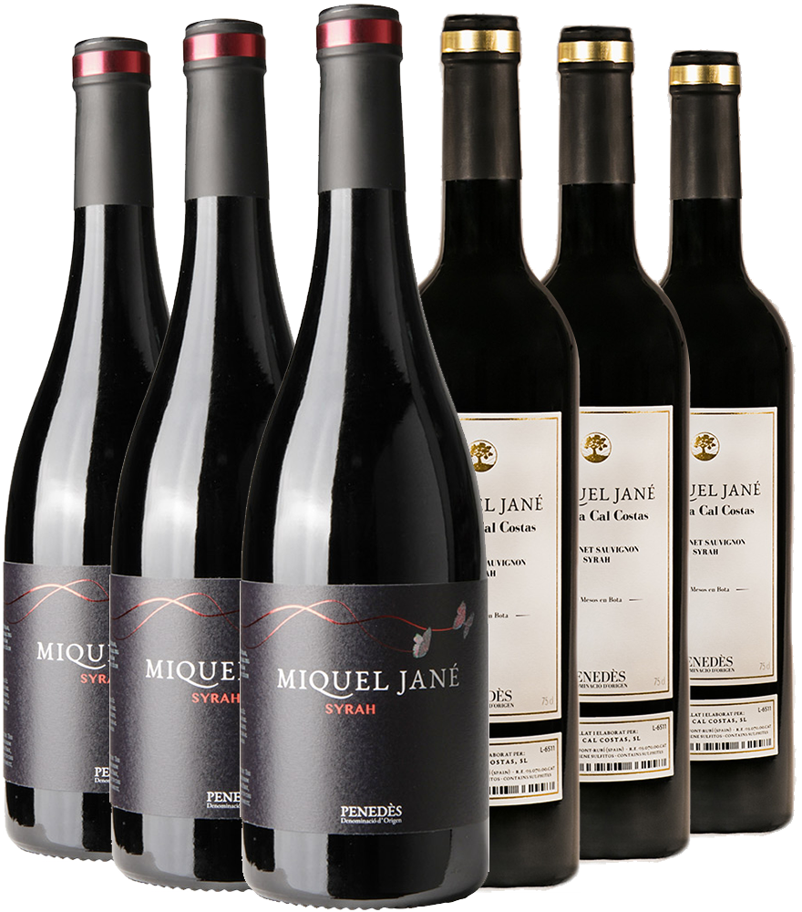 Pack degustación Tinto Miquel Jané Penedès DO